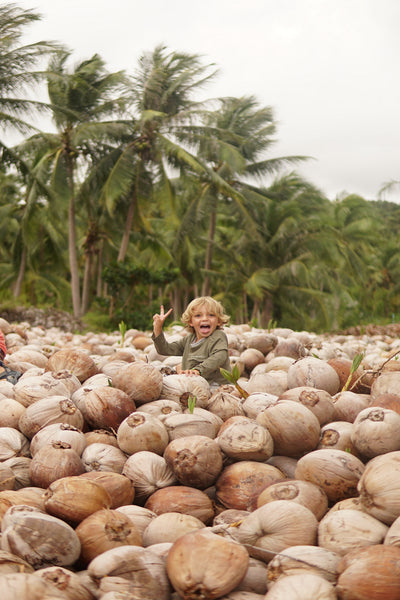 WHY WE'RE NUTS ABOUT COCONUTS
