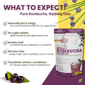 Essenzefruits Instant Acai Kombucha Powder Tea Mix - Naturally Fermented & Dried - Just Add Water! Probiotic & Prebiotic Blend with Vitamin C, No Added Sugar, Clean Label - Makes 30 Cups (8 Oz, 226g) - EssenzeFruits