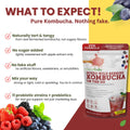 Essenzefruits Instant Wild Red Berries Kombucha Powder Tea Mix - Naturally Fermented & Dried - Just Add Water! Probiotic & Prebiotic Blend with Vitamin C, No Added Sugar, Clean Label - Makes 30 Cups (8 Oz, 226g) - EssenzeFruits