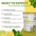 Essenzefruits Instant Lemon Lime Kombucha Powder Tea Mix - Naturally Fermented & Dried - Just Add Water! Probiotic & Prebiotic Blend with Vitamin C, No Added Sugar, Clean Label - Makes 30 Cups (8 Oz, 226g) - EssenzeFruits